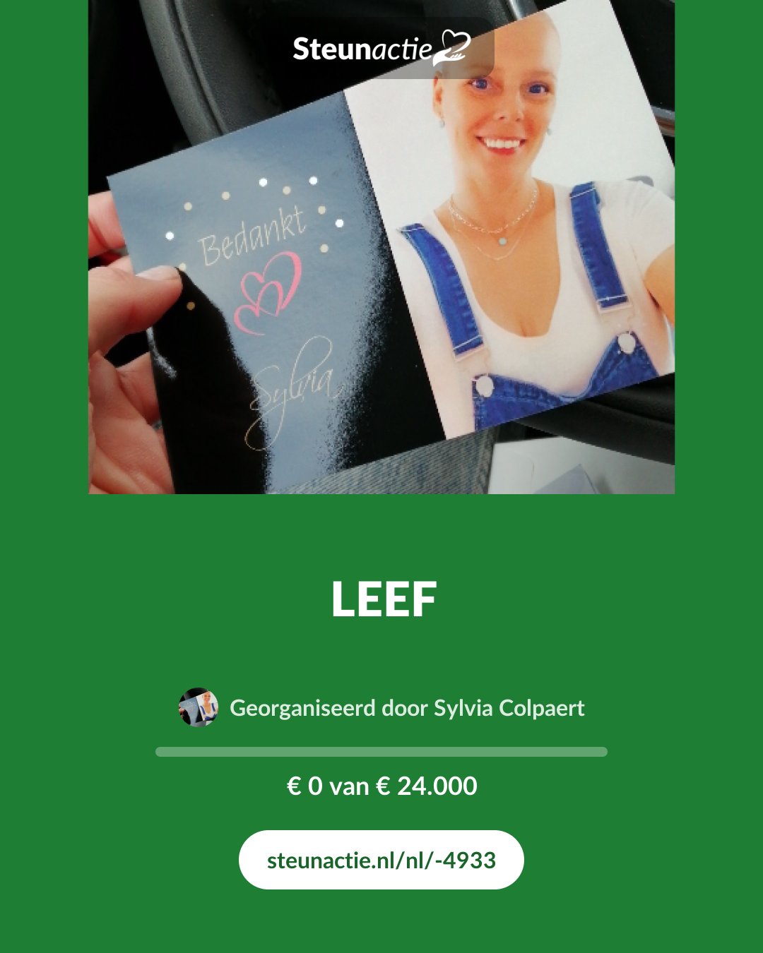 Voorbeeld van de afbeelding