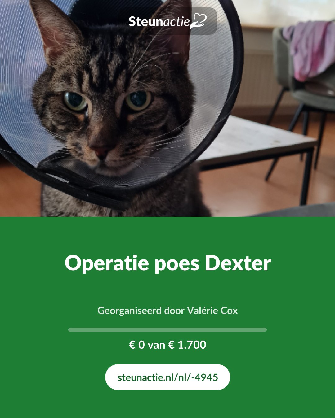 Voorbeeld van de afbeelding