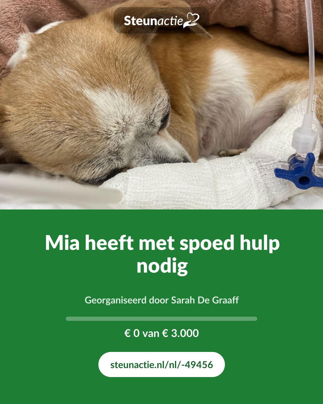 Voorbeeld van de afbeelding
