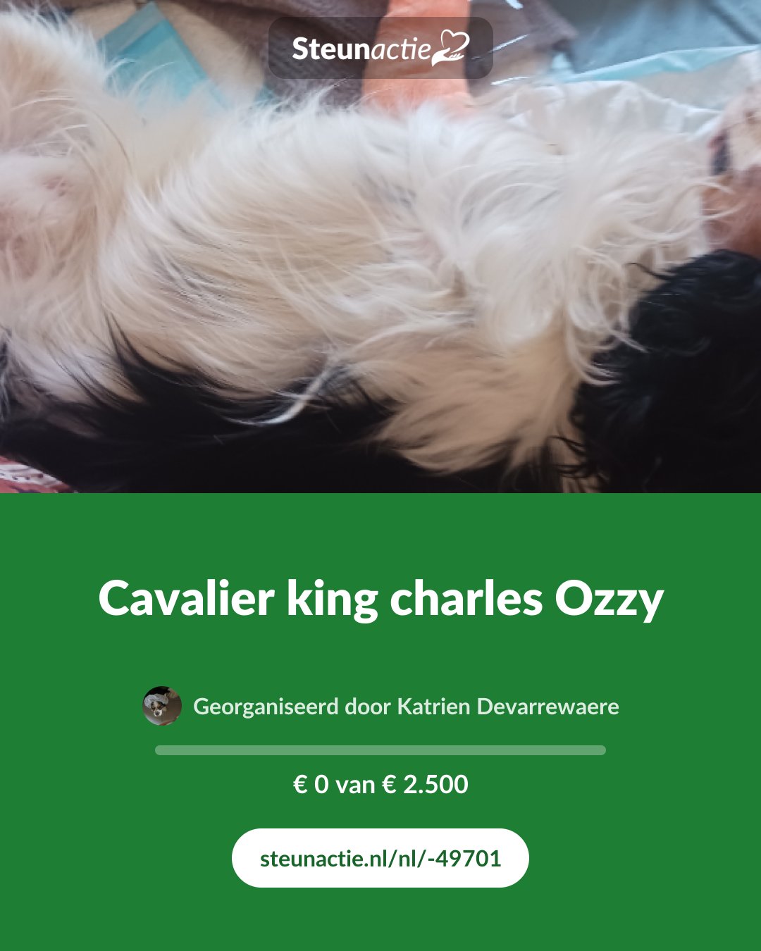 Voorbeeld van de afbeelding