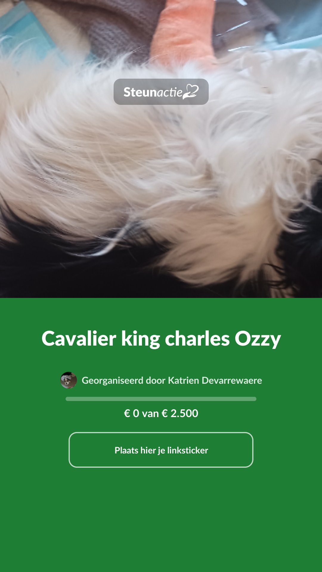 Voorbeeld van de afbeelding