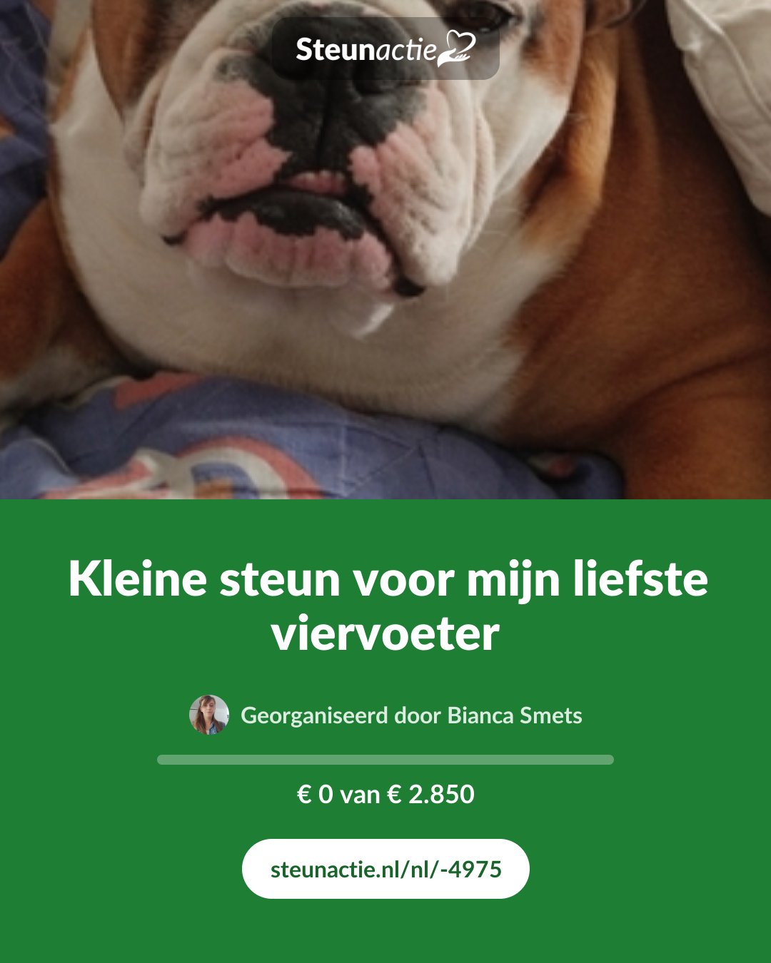 Voorbeeld van de afbeelding