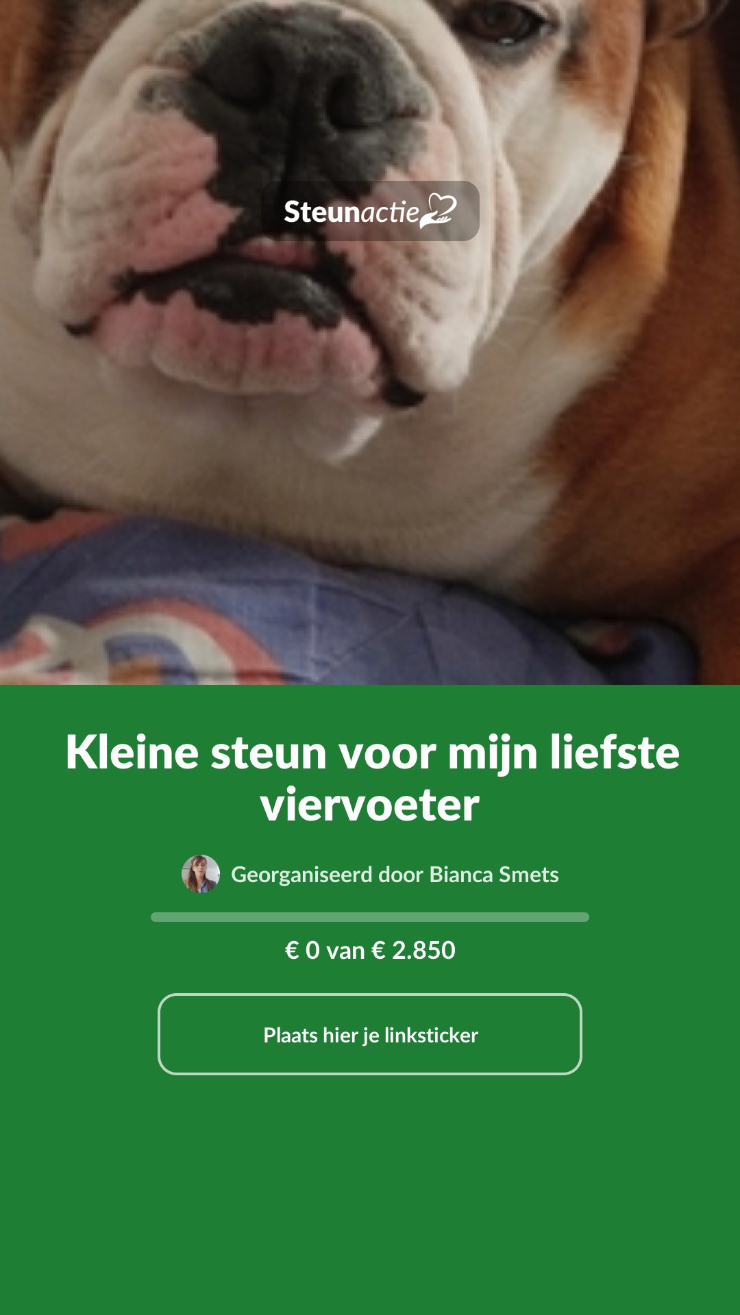 Voorbeeld van de afbeelding