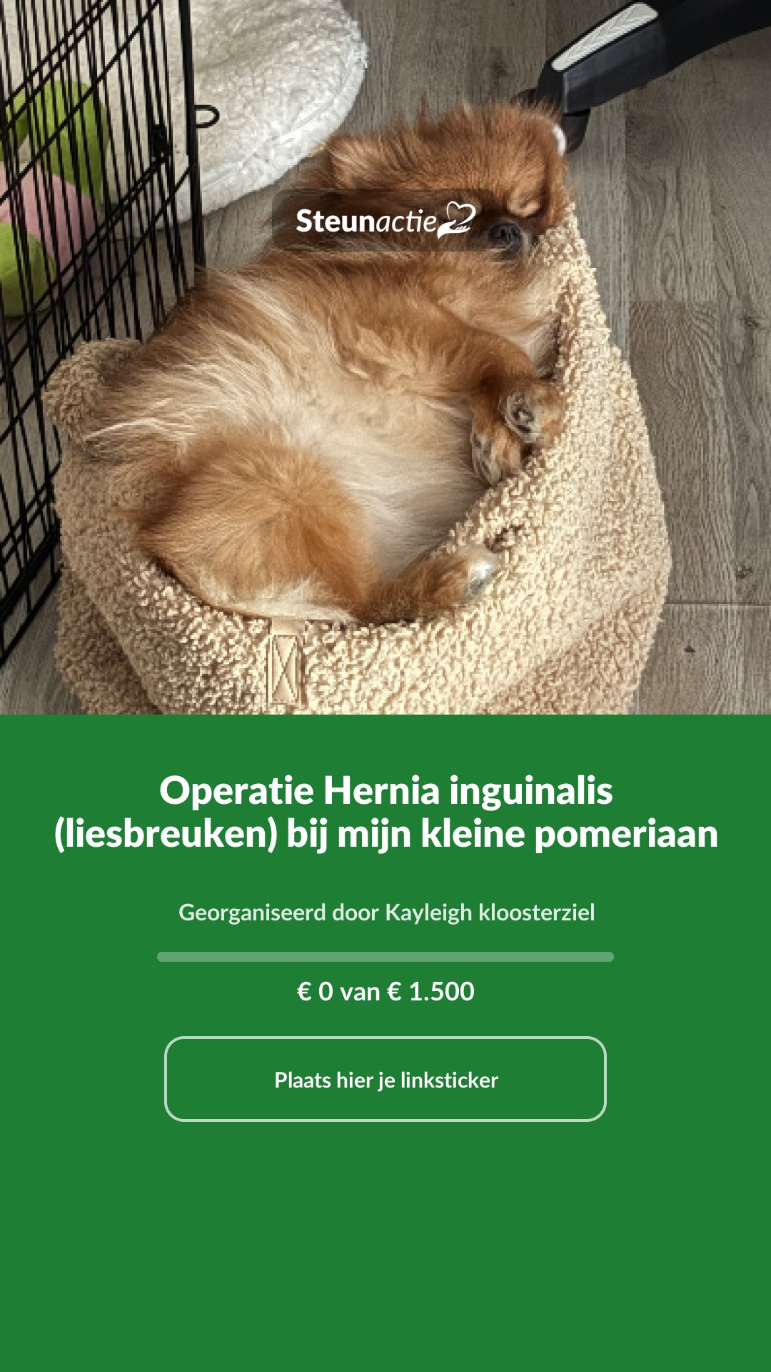 Voorbeeld van de afbeelding