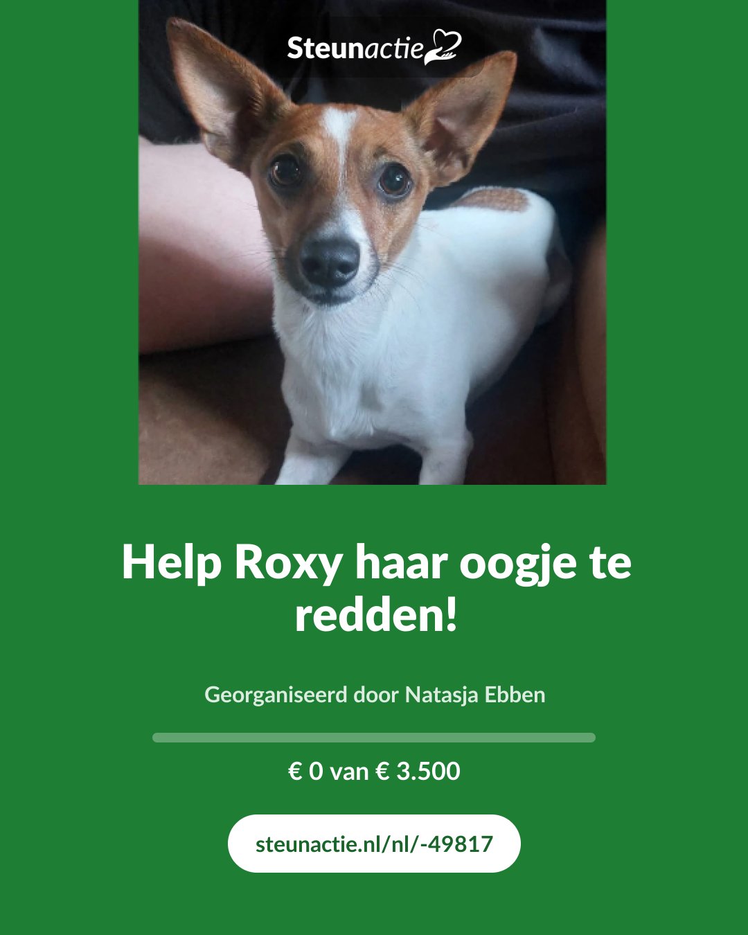 Voorbeeld van de afbeelding