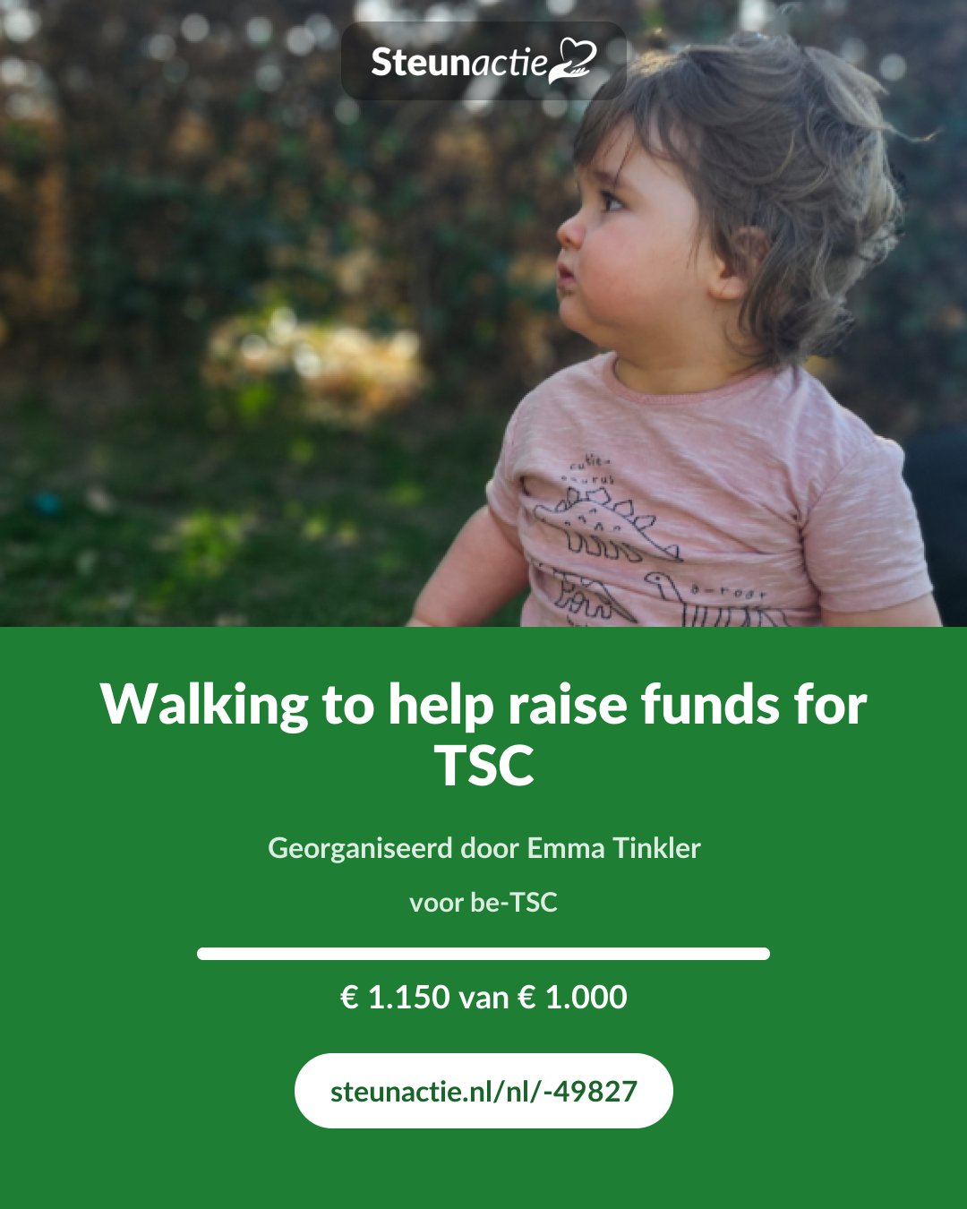 Voorbeeld van de afbeelding