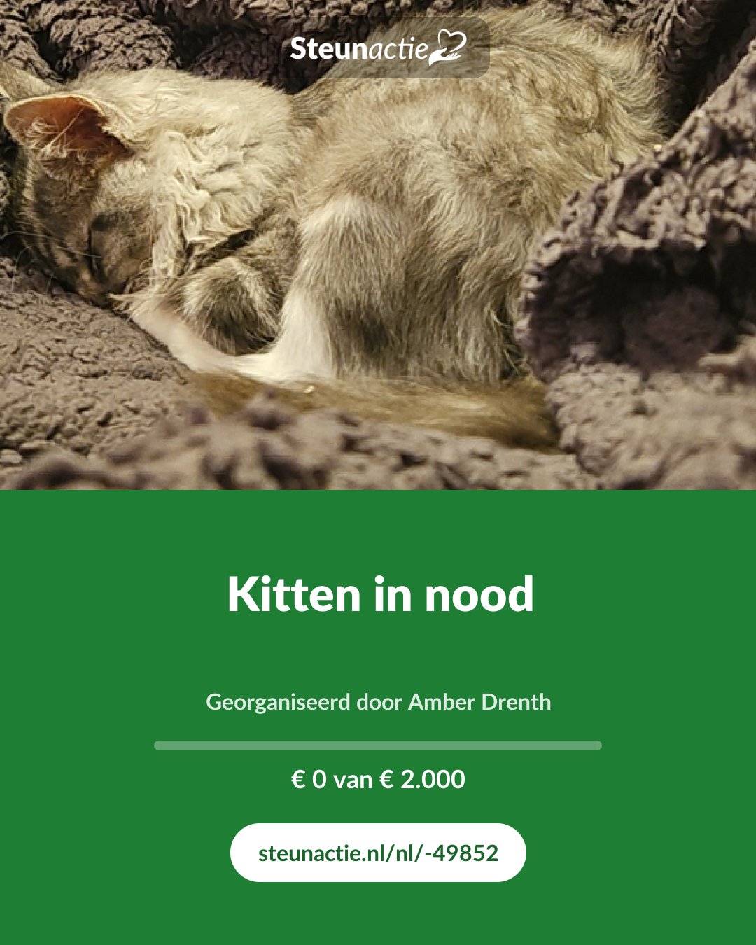 Voorbeeld van de afbeelding
