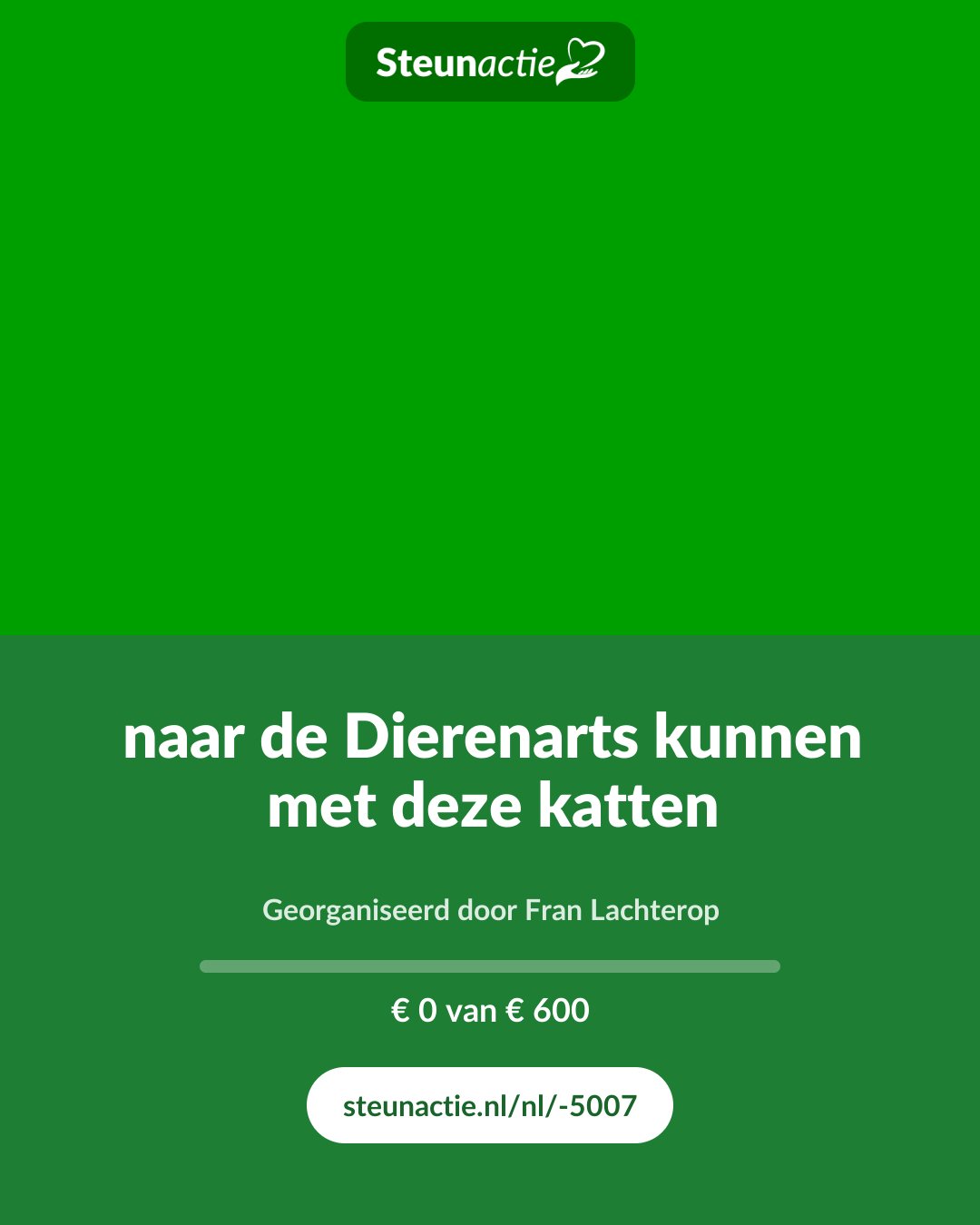 Voorbeeld van de afbeelding