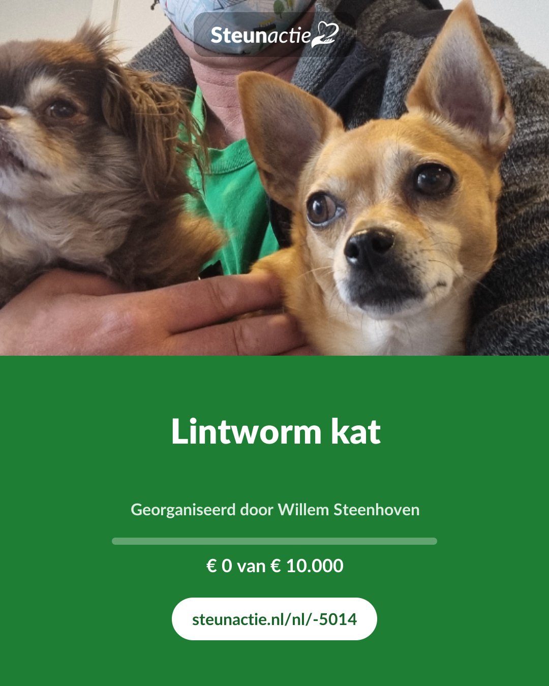 Voorbeeld van de afbeelding