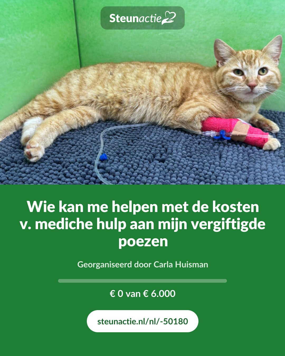 Voorbeeld van de afbeelding