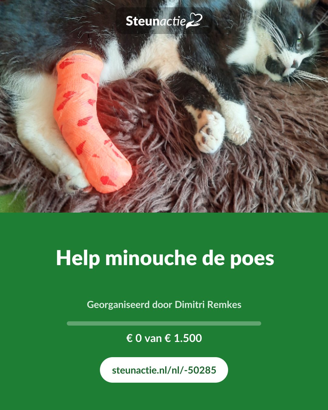 Voorbeeld van de afbeelding