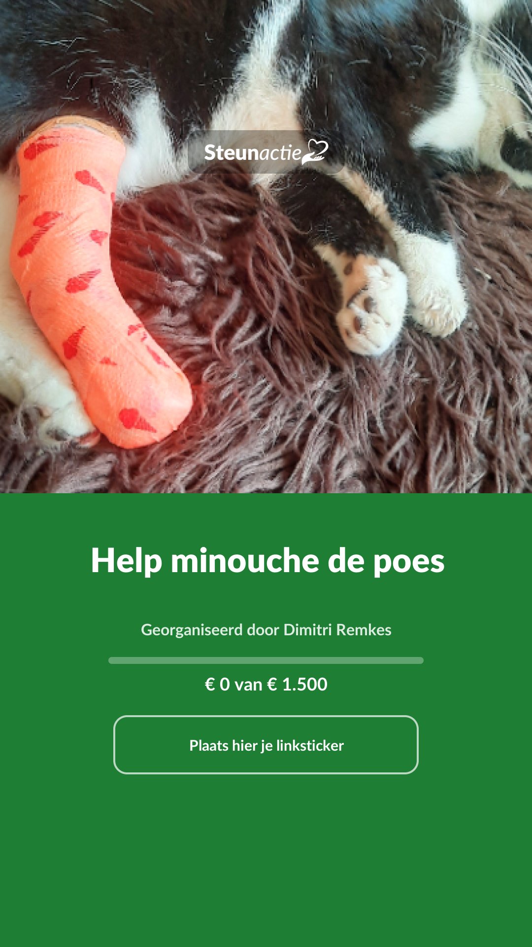 Voorbeeld van de afbeelding