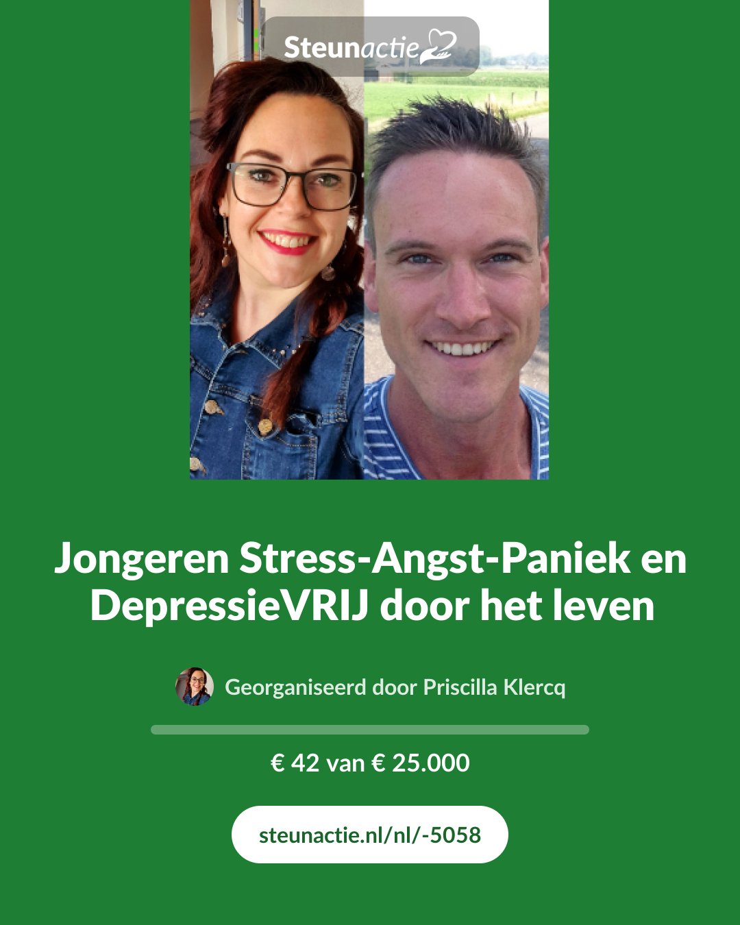 Voorbeeld van de afbeelding