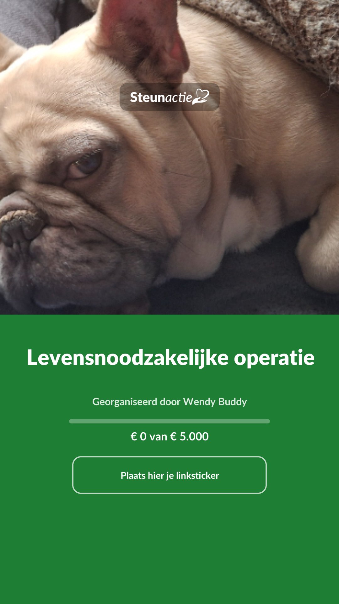 Voorbeeld van de afbeelding