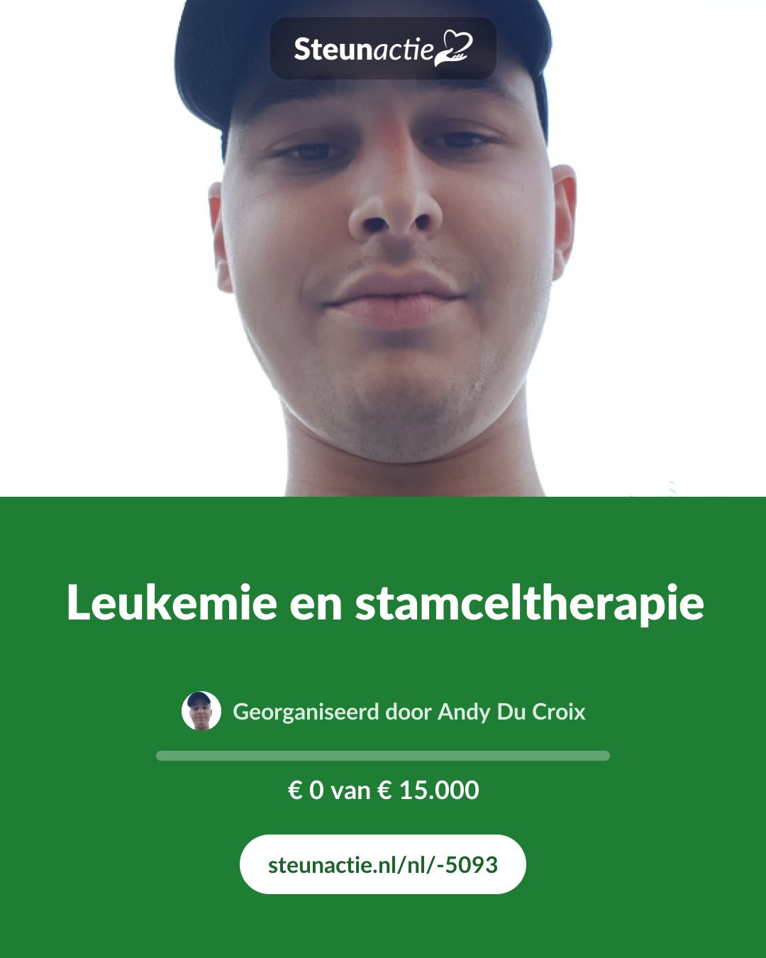 Voorbeeld van de afbeelding
