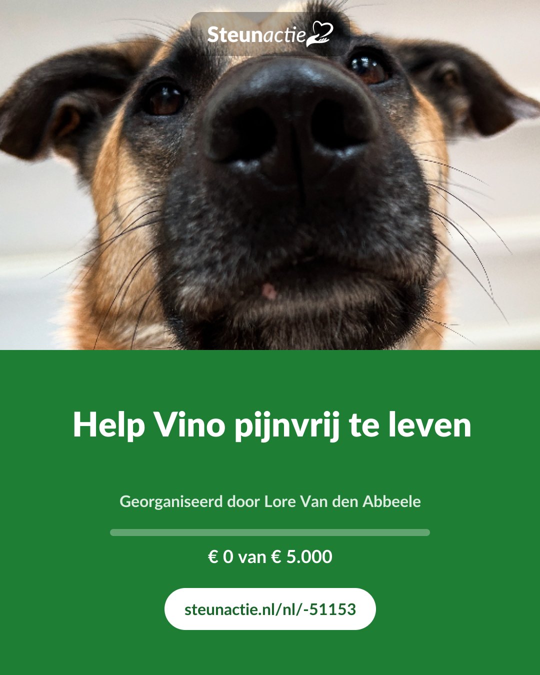 Voorbeeld van de afbeelding