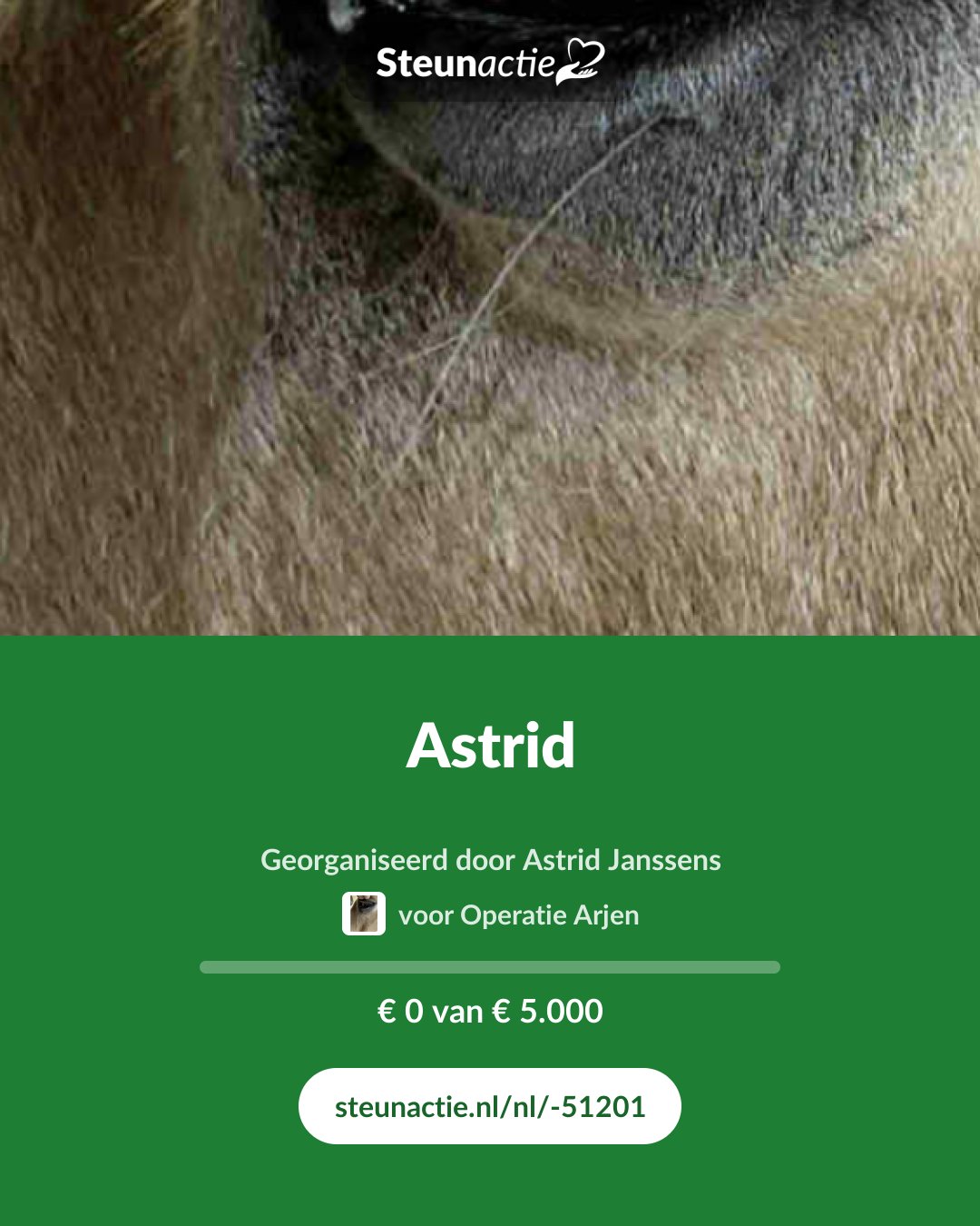 Voorbeeld van de afbeelding