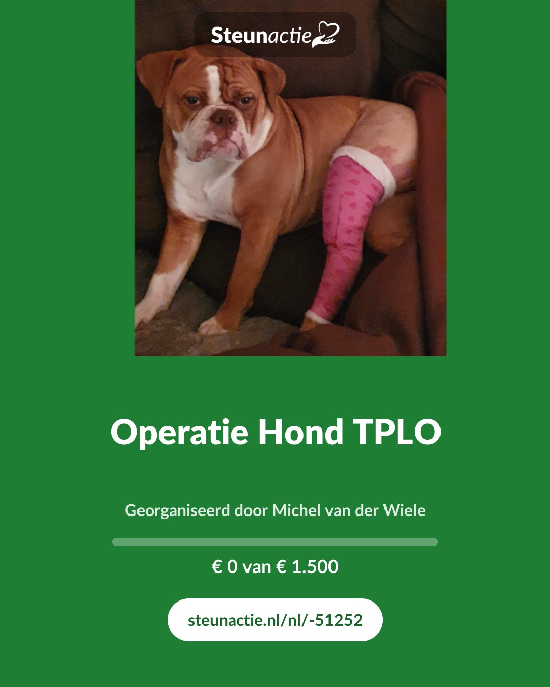 Voorbeeld van de afbeelding