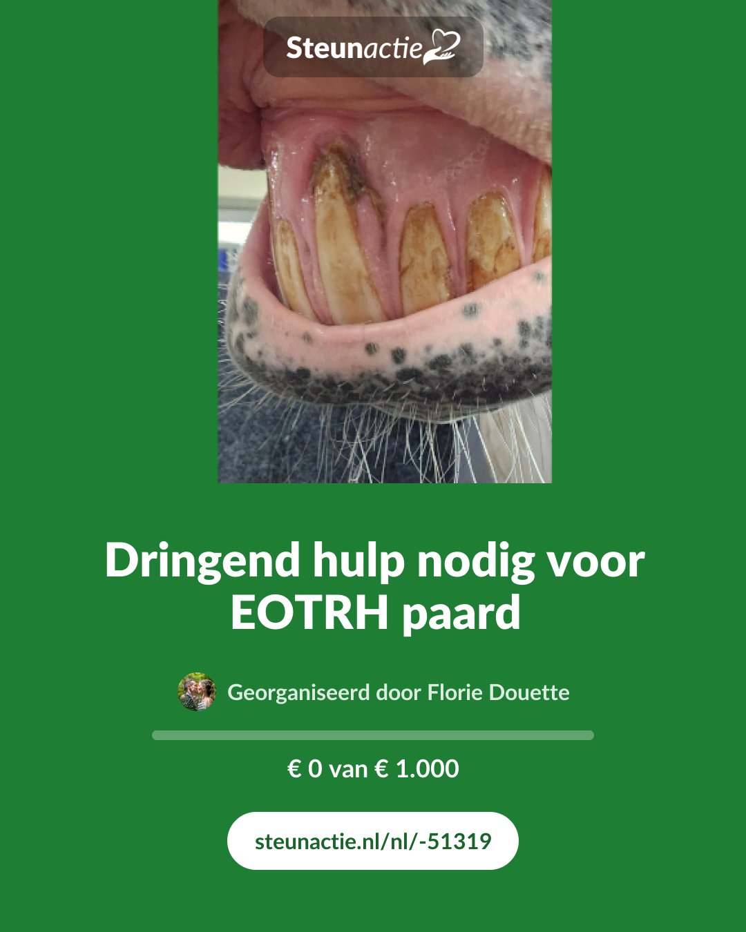 Voorbeeld van de afbeelding