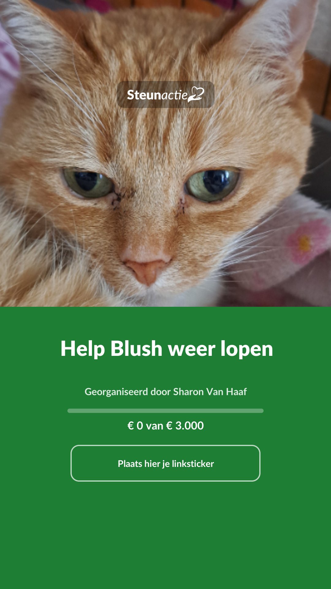 Voorbeeld van de afbeelding