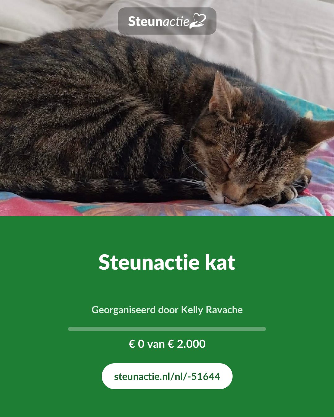 Voorbeeld van de afbeelding