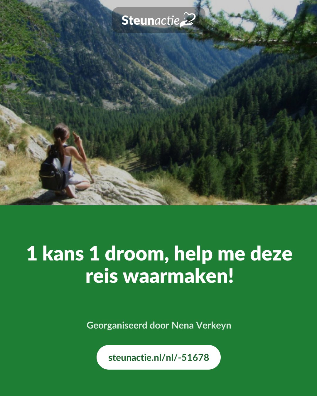 Voorbeeld van de afbeelding