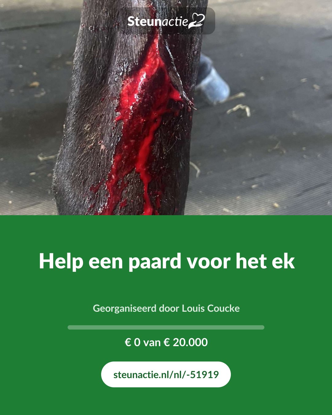 Voorbeeld van de afbeelding