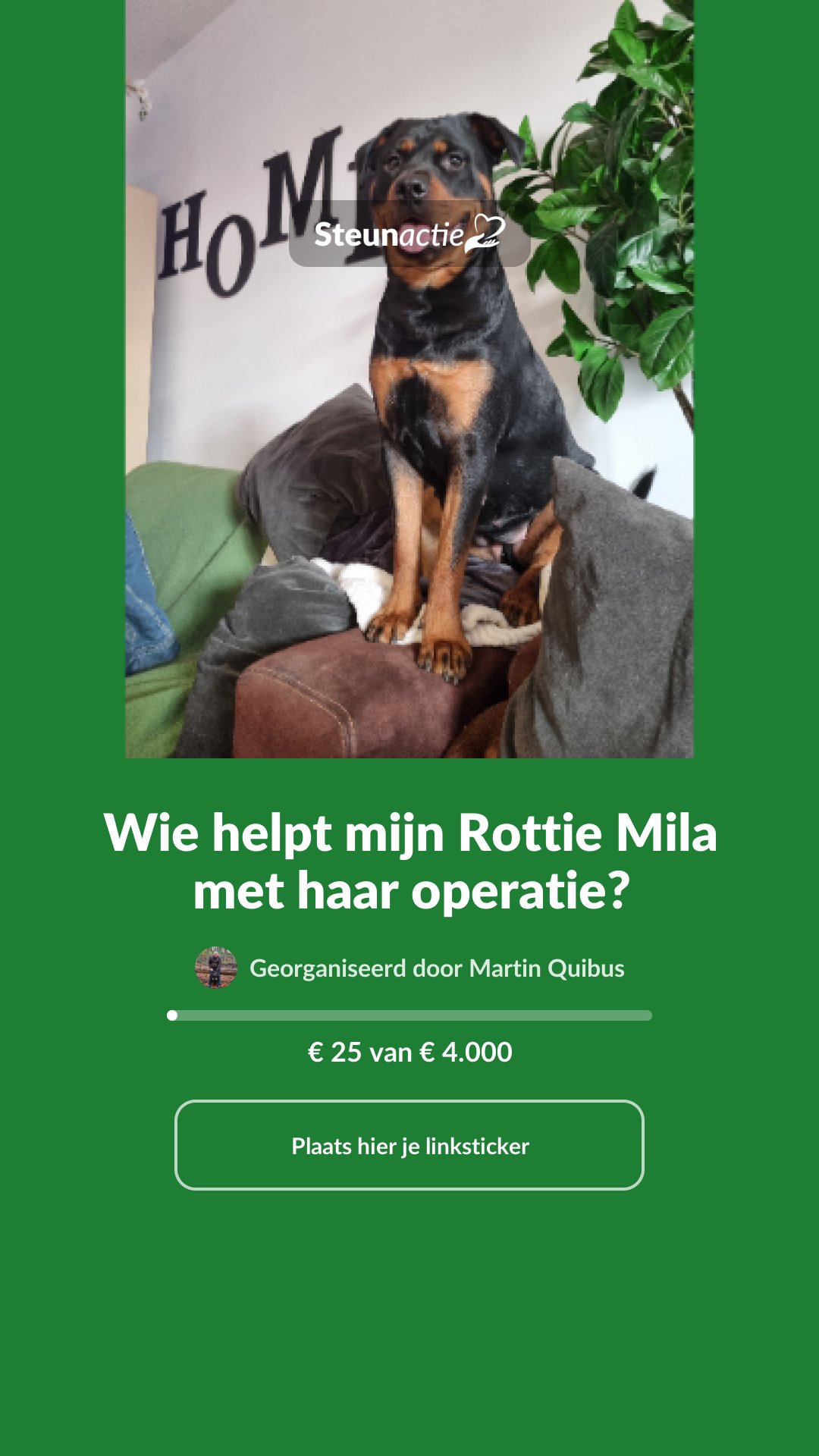 Voorbeeld van de afbeelding