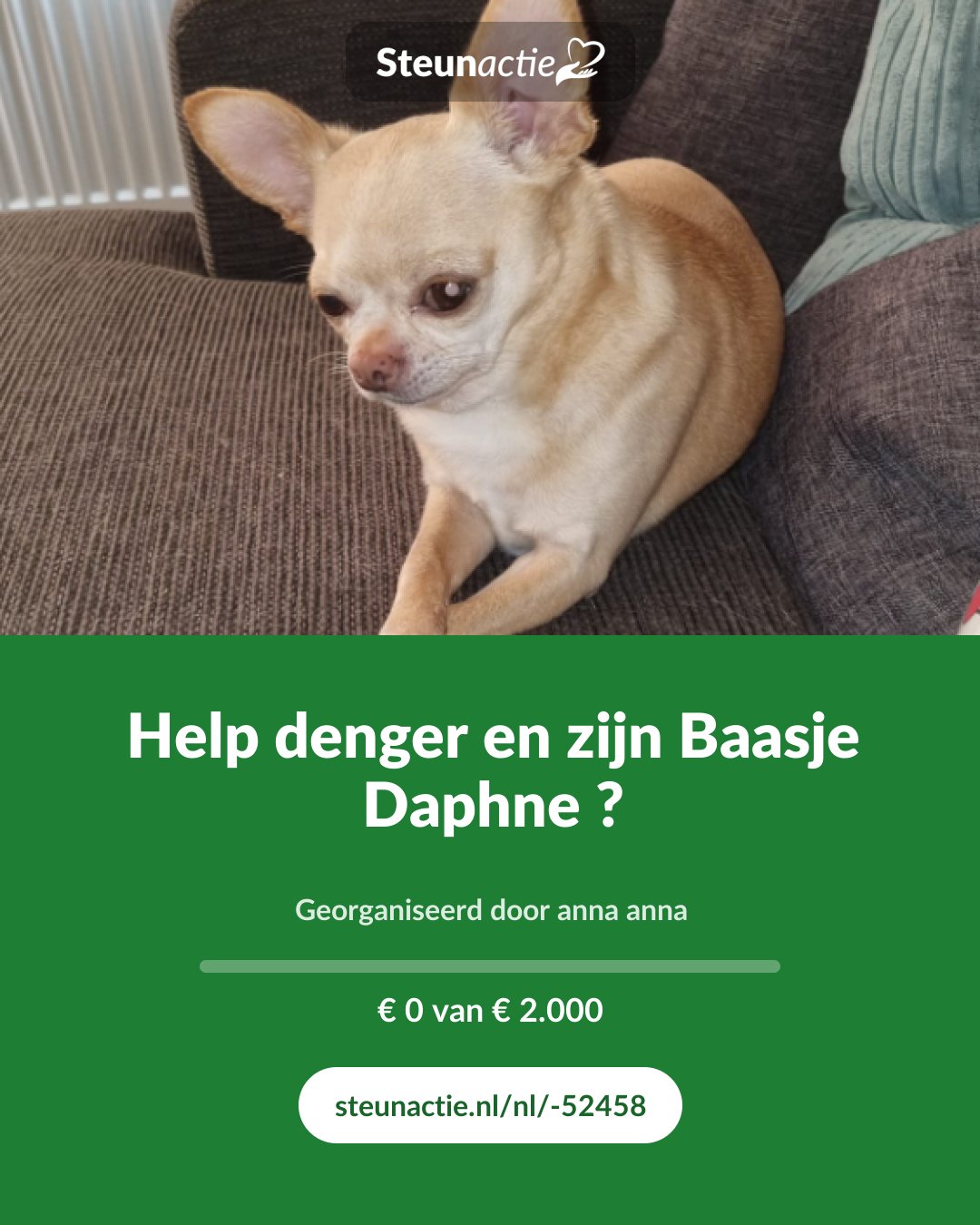 Voorbeeld van de afbeelding