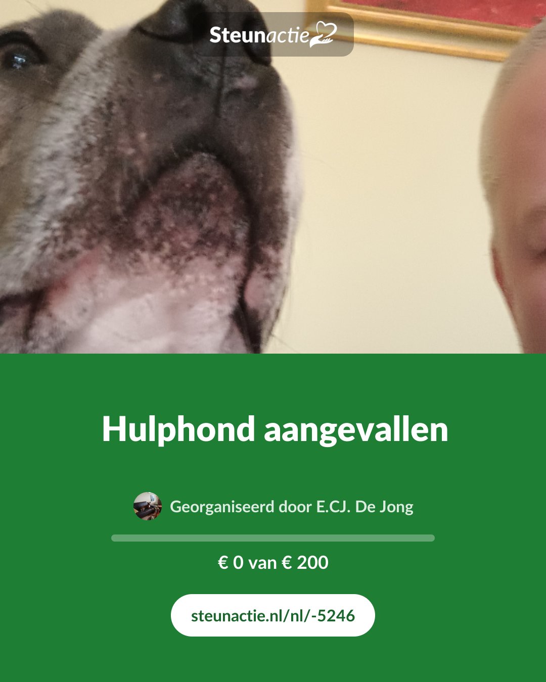 Voorbeeld van de afbeelding
