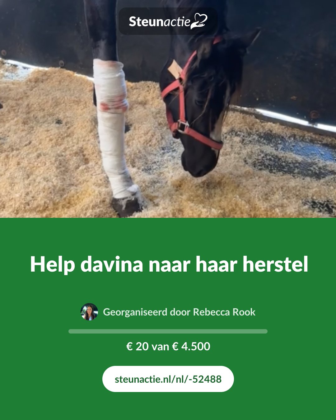 Voorbeeld van de afbeelding