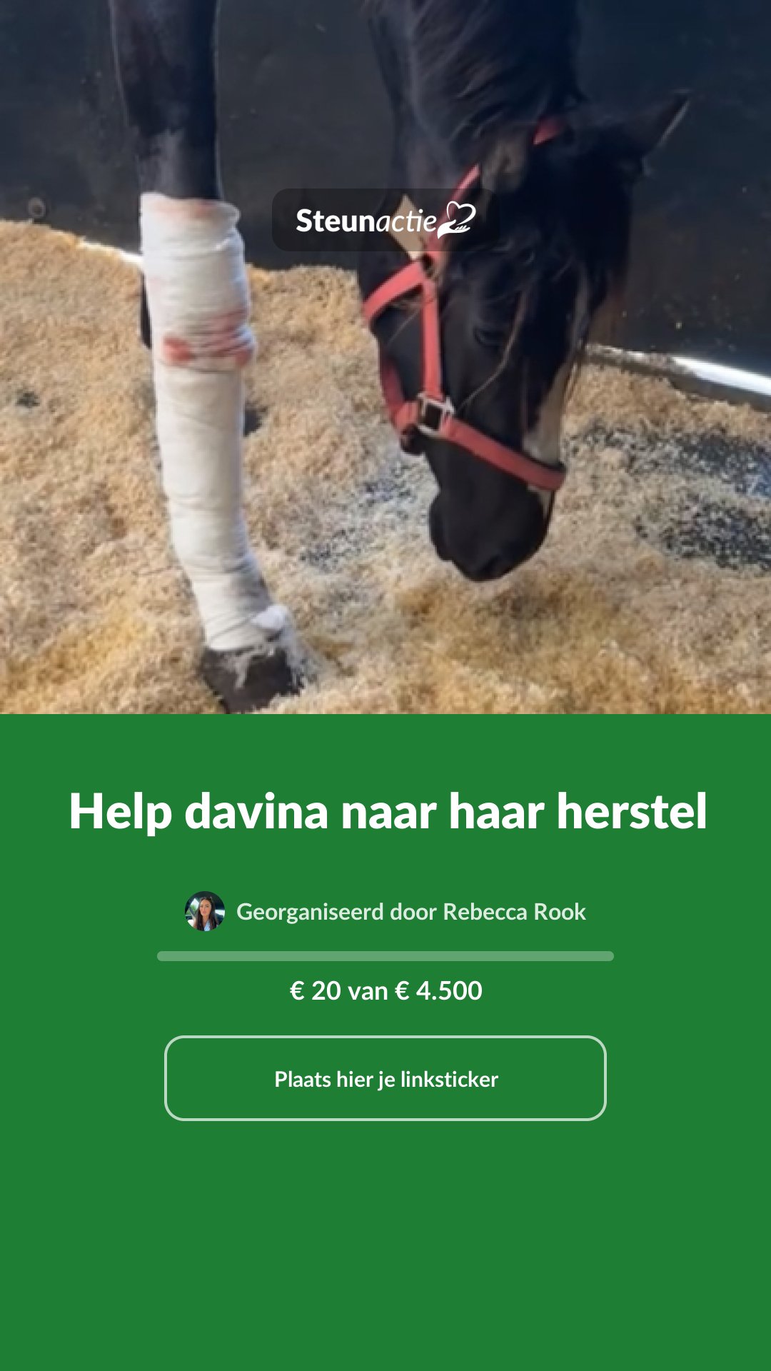 Voorbeeld van de afbeelding