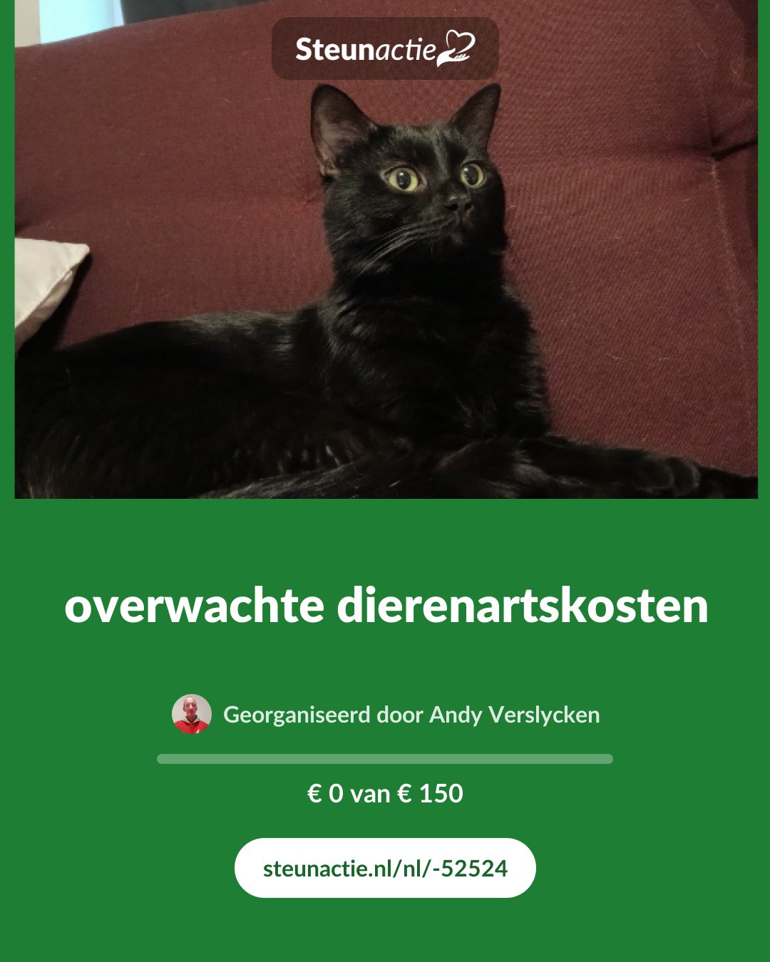 Voorbeeld van de afbeelding