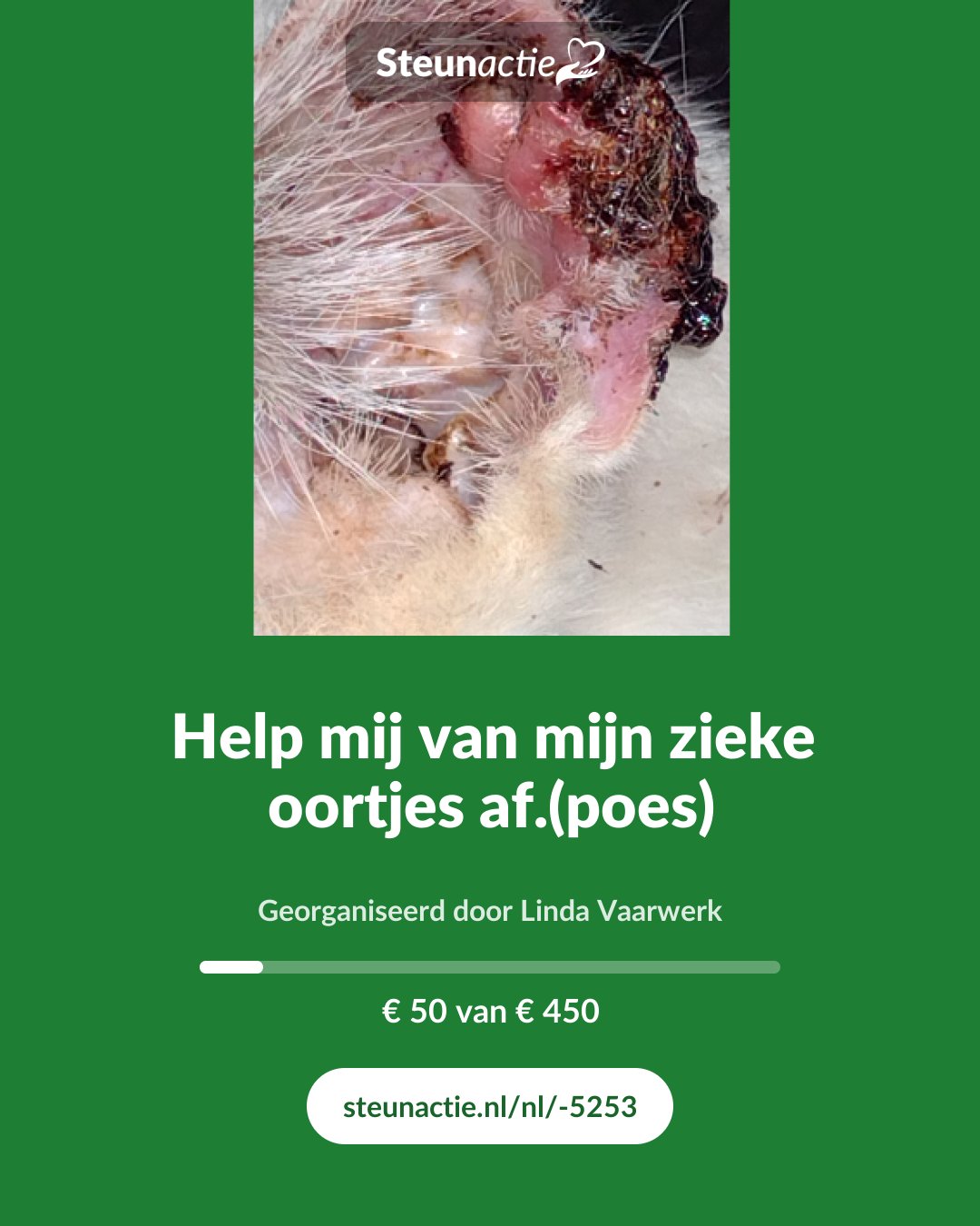 Voorbeeld van de afbeelding