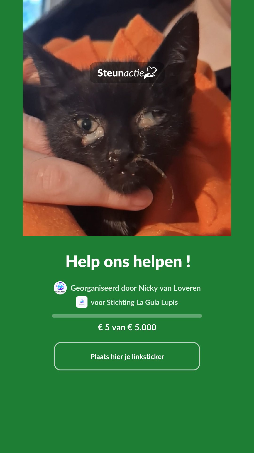 Voorbeeld van de afbeelding