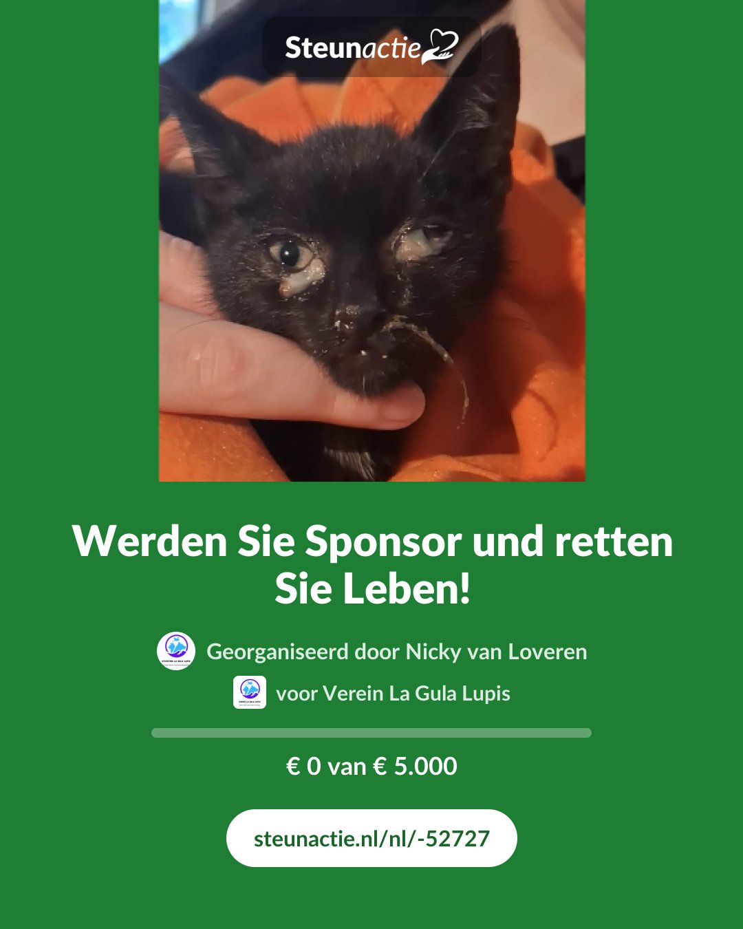 Voorbeeld van de afbeelding