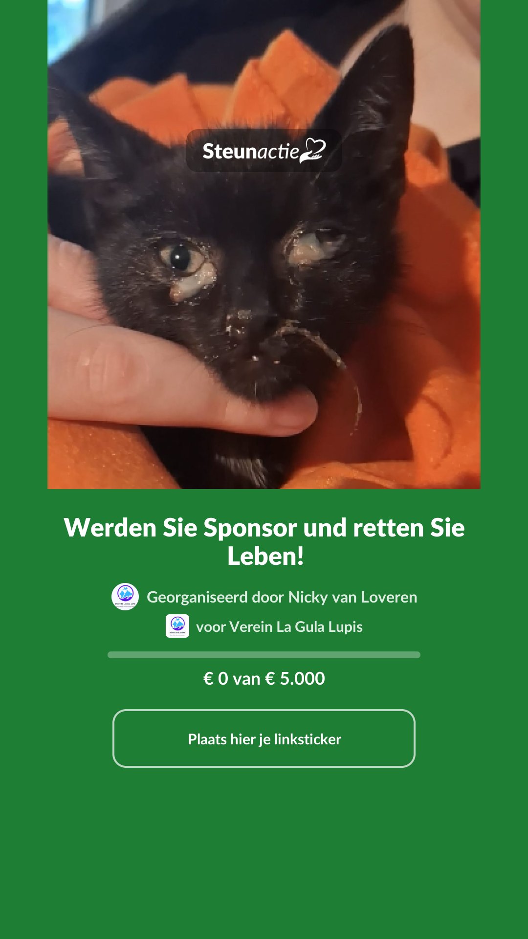 Voorbeeld van de afbeelding