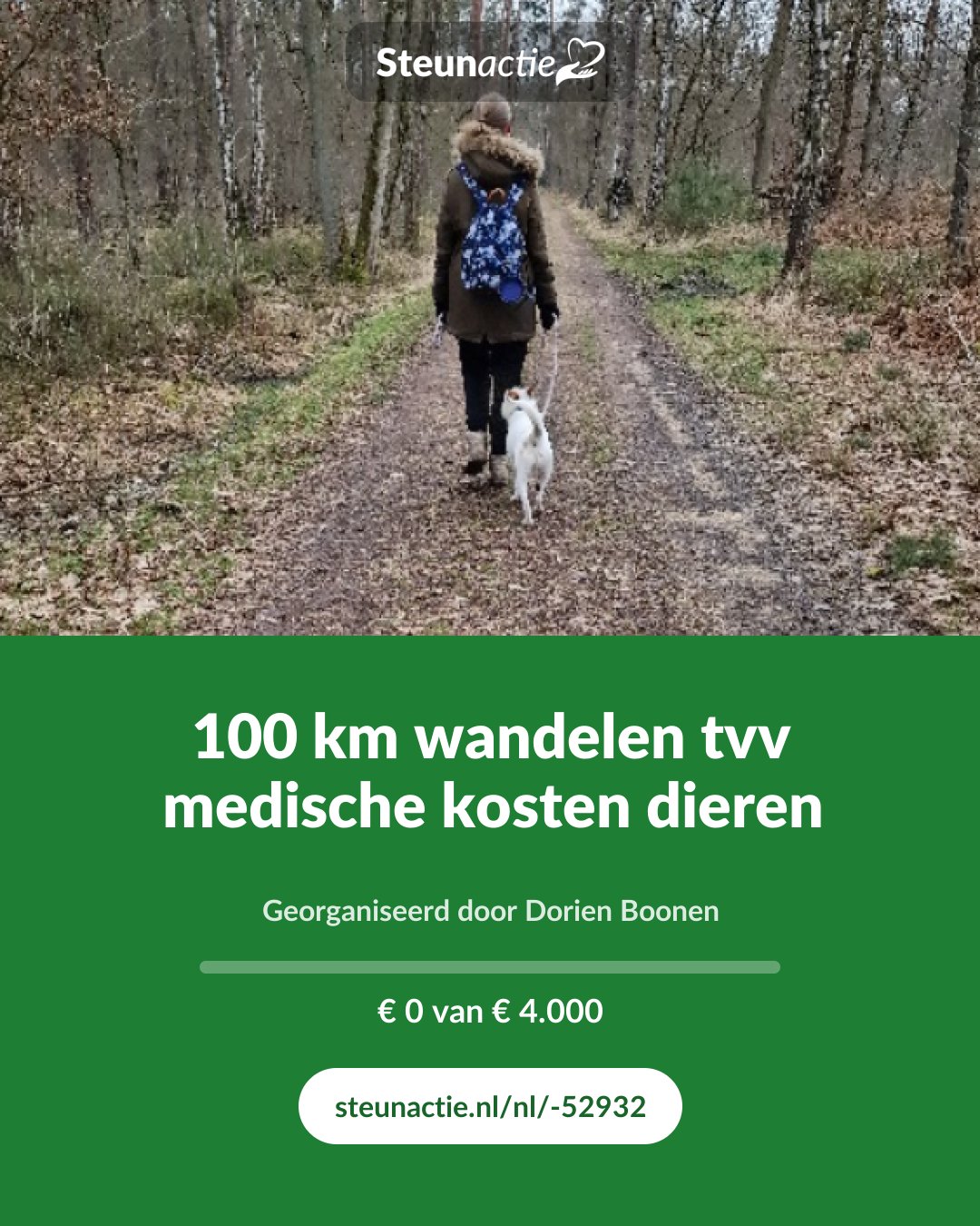 Voorbeeld van de afbeelding