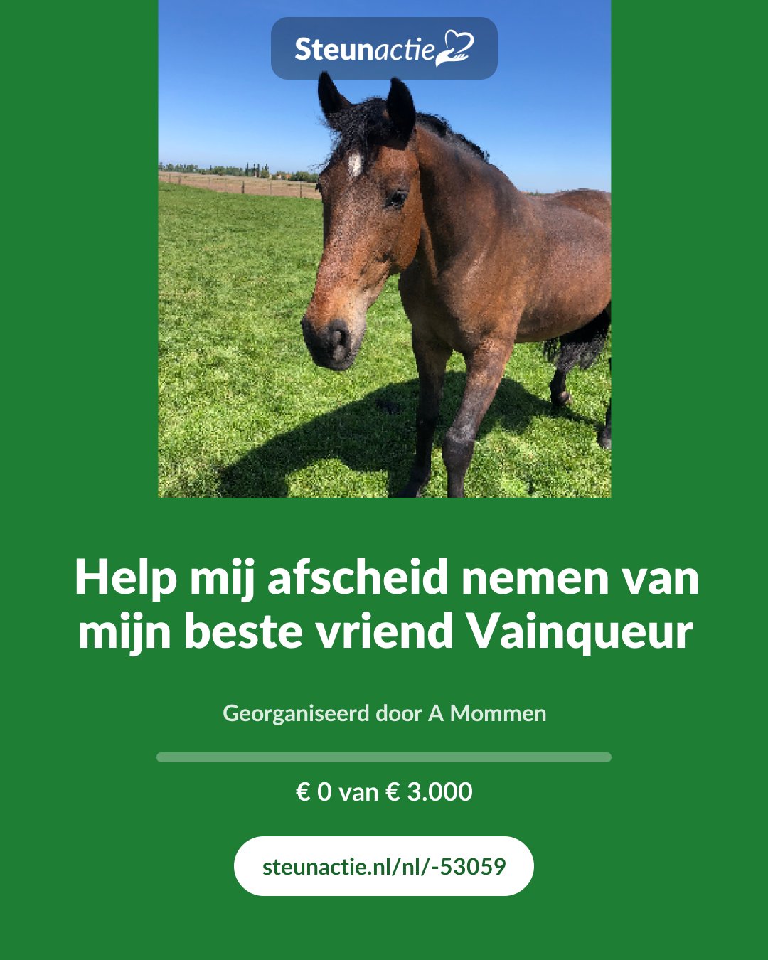 Voorbeeld van de afbeelding