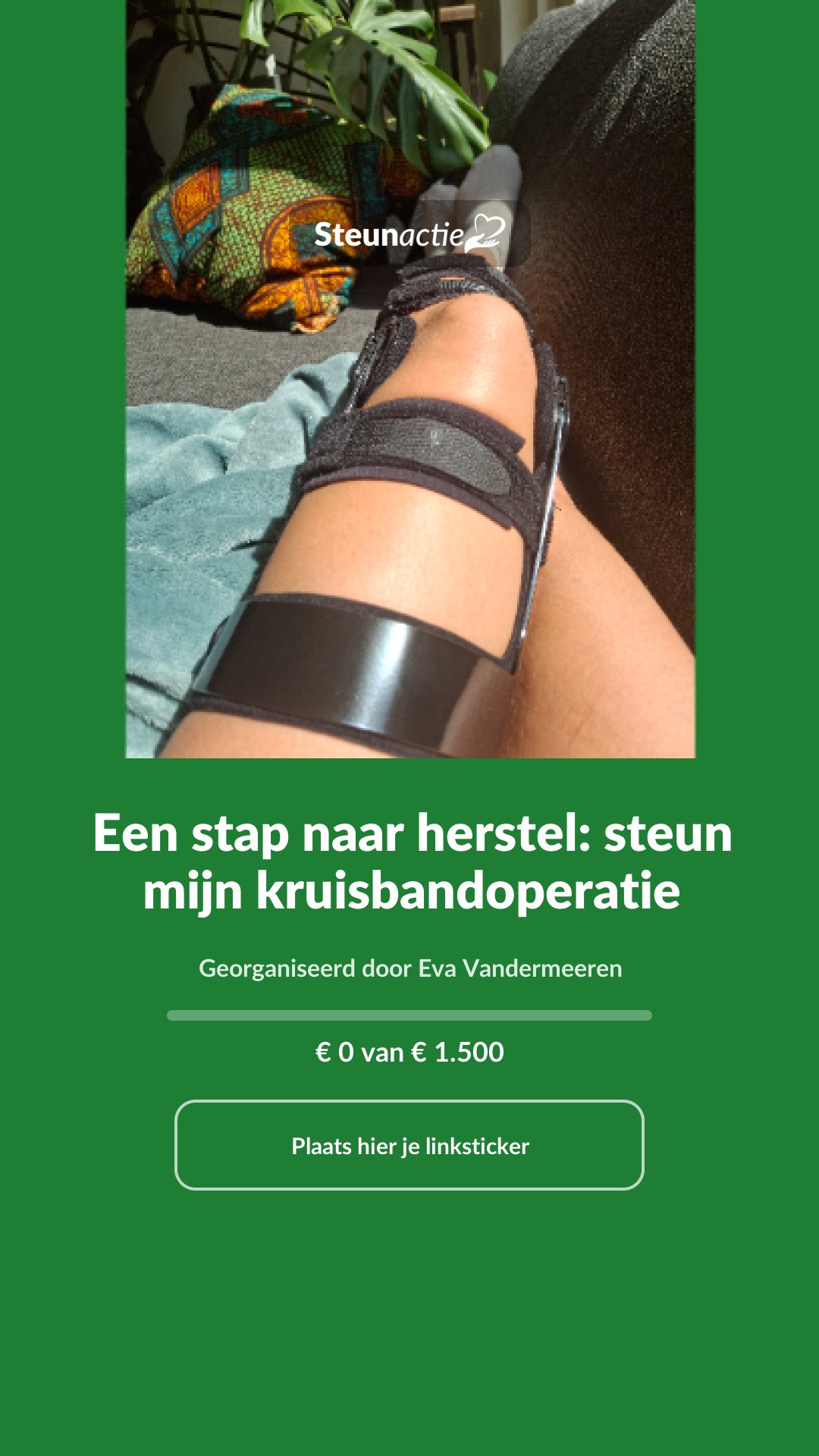 Voorbeeld van de afbeelding