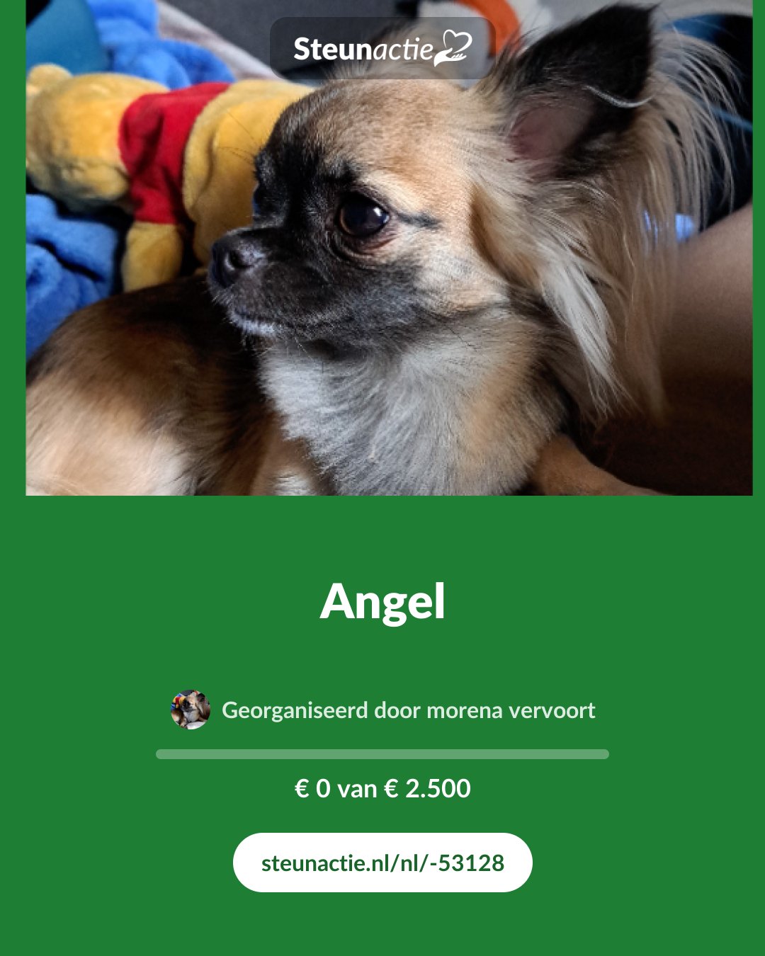 Voorbeeld van de afbeelding