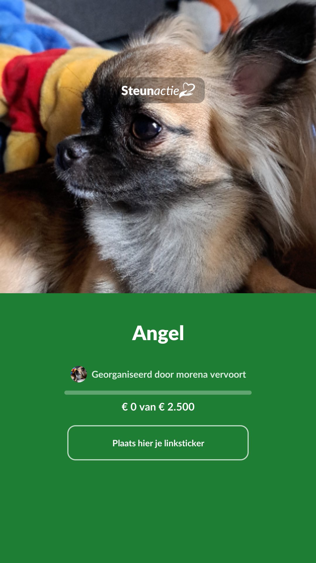 Voorbeeld van de afbeelding