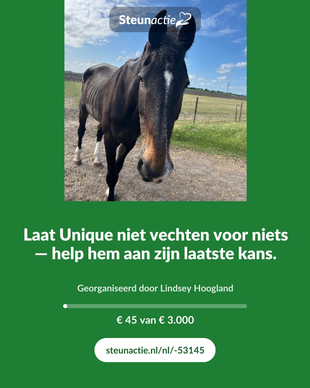Voorbeeld van de afbeelding