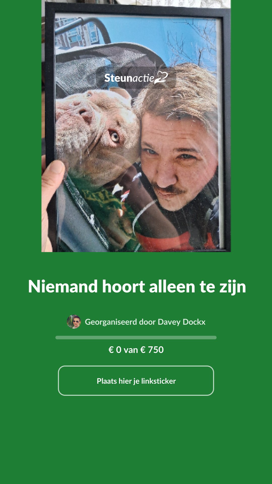 Voorbeeld van de afbeelding