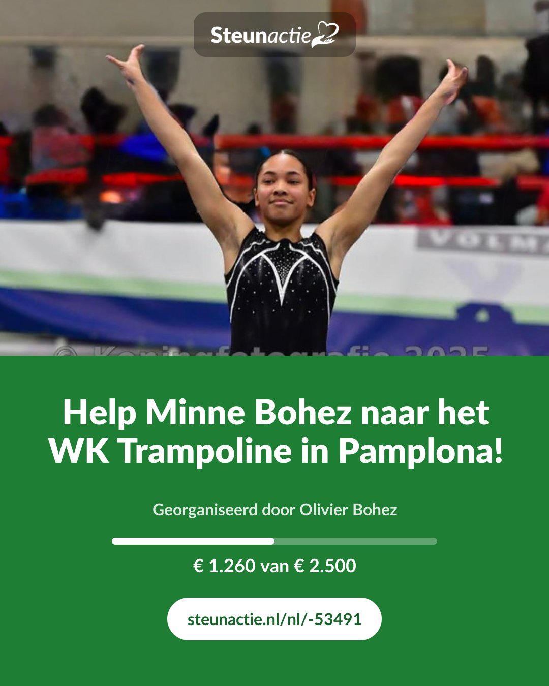 Voorbeeld van de afbeelding