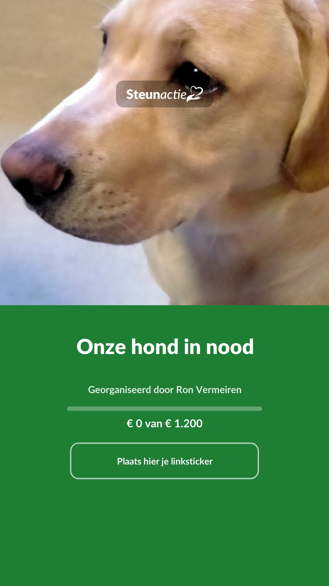Voorbeeld van de afbeelding