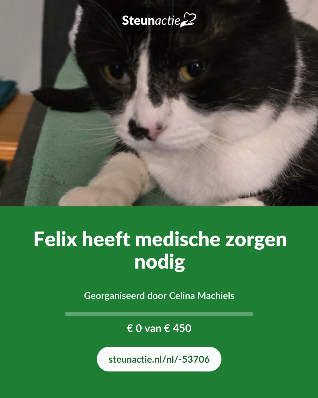 Voorbeeld van de afbeelding