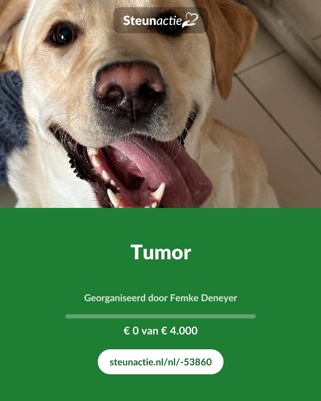 Voorbeeld van de afbeelding