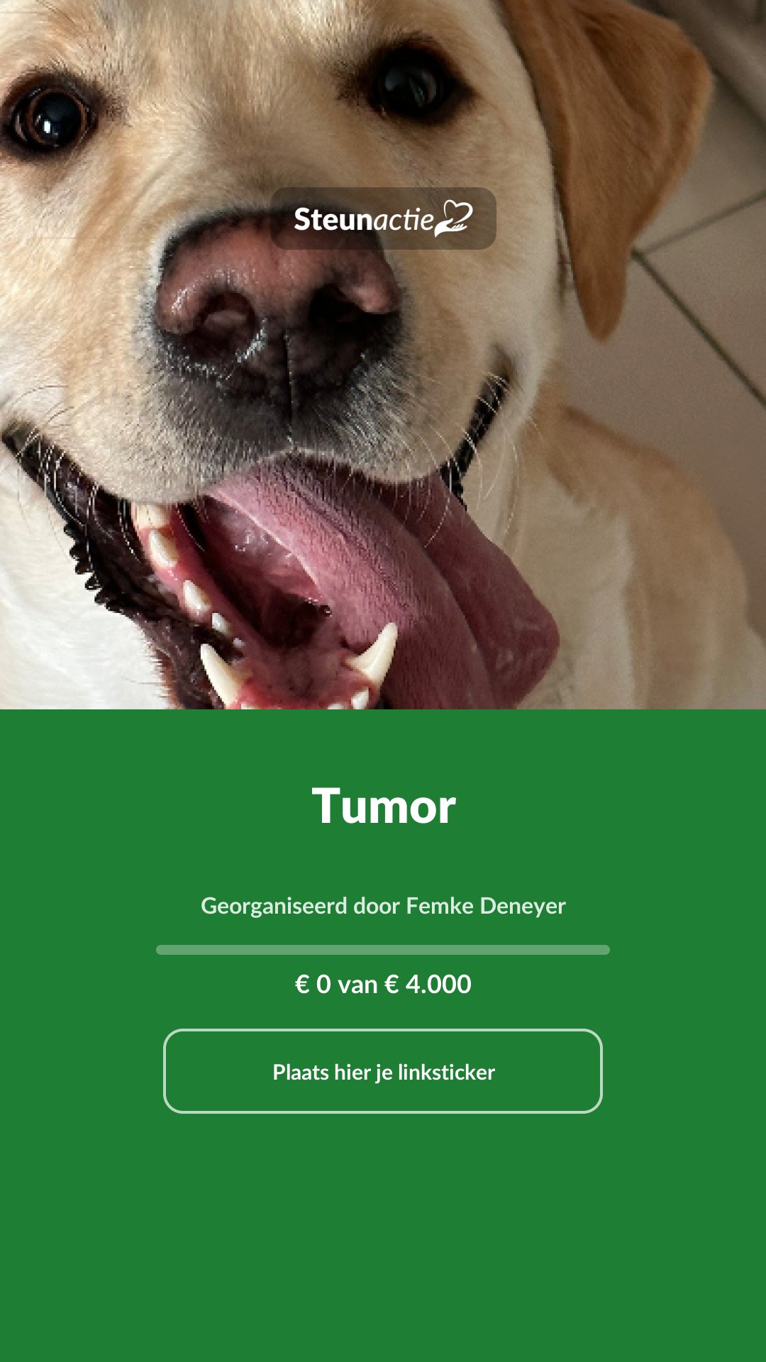 Voorbeeld van de afbeelding