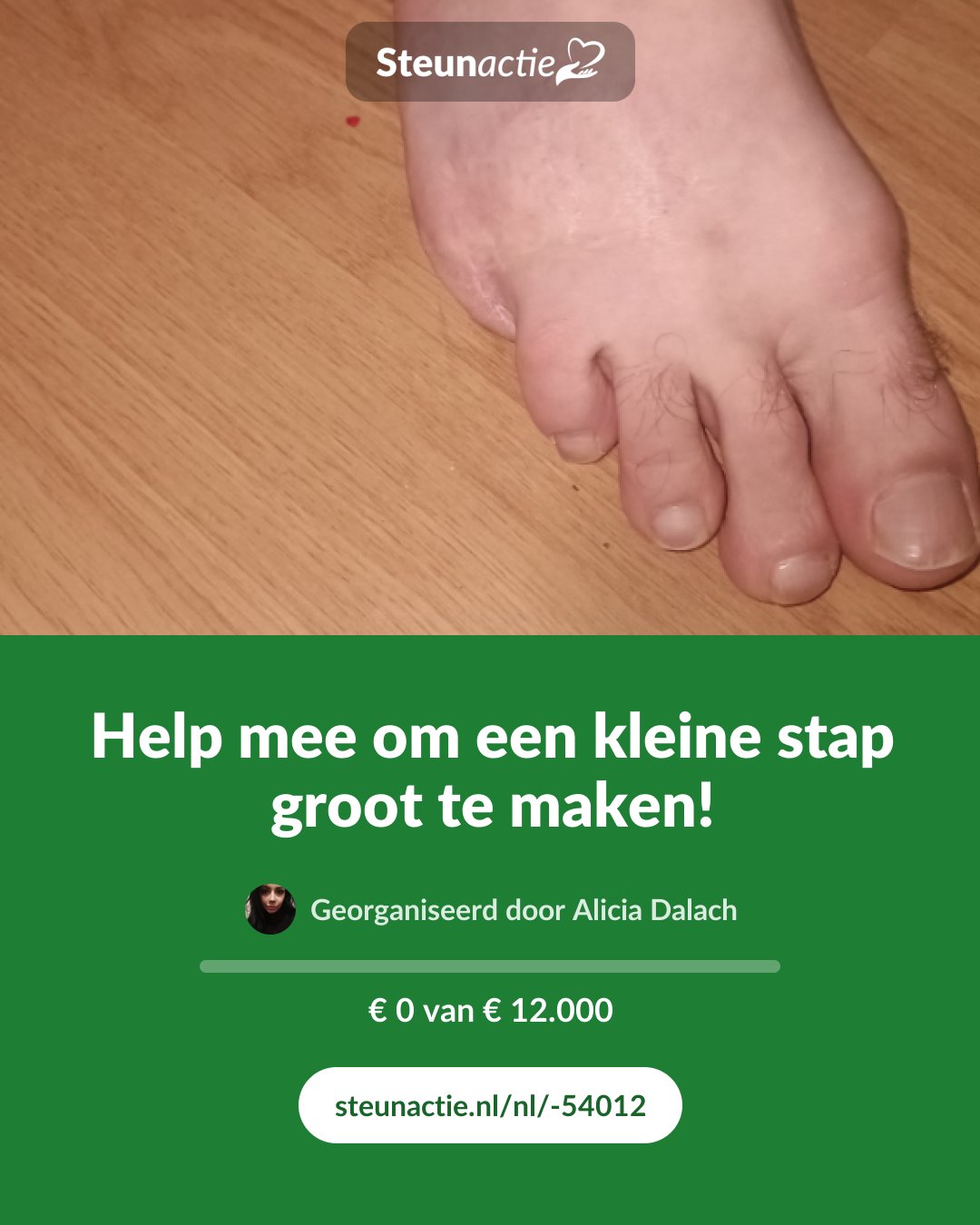 Voorbeeld van de afbeelding